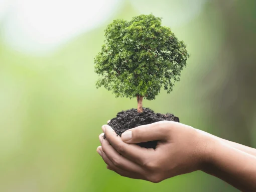Conservação da Natureza, Biodiversidade e Património Natural – ITI AML