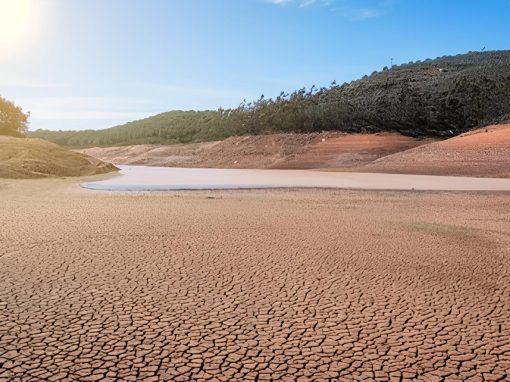 Alterações Climáticas Algarve: 6M€ para projetos de resiliência climática