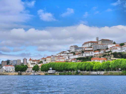 Centro2030 Comércio e Serviços: 748 mil € para apoiar micro e pequenas empresas na Região de Coimbra