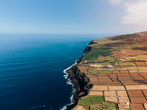 Conservação da Natureza: 4,4M€ para reforçar a biodiversidade e o património natural dos Açores