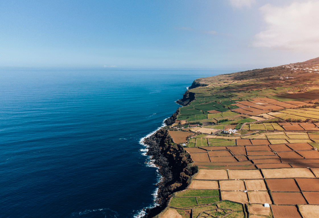 Conservação da Natureza nos Açores 2030 Projetos de conservação da natureza e biodiversidade nos Açores com apoio do programa Açores 2030.
