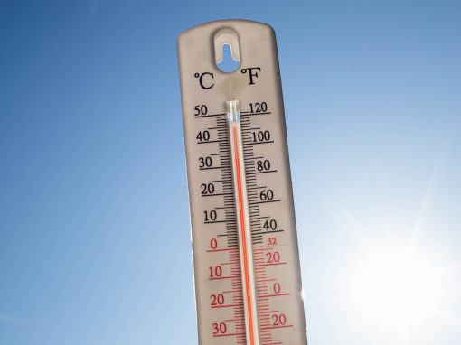 Novo apoio para municípios reforçarem a proteção face ao calor extremo – «Stay Cool»